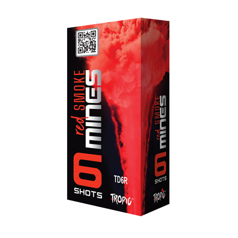 Batteries TD6R