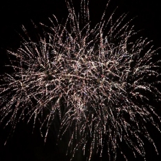 Single Rows SR20B-15